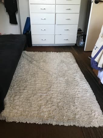 Futon & fuzzy rug for sale! 2