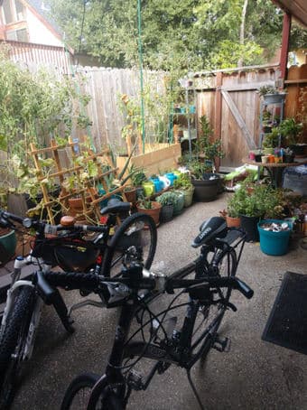 ~$1000 Room for rent -- Downtown Palo Alto 2