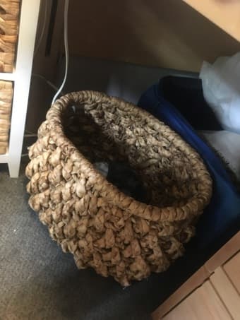Laundry Basket 1