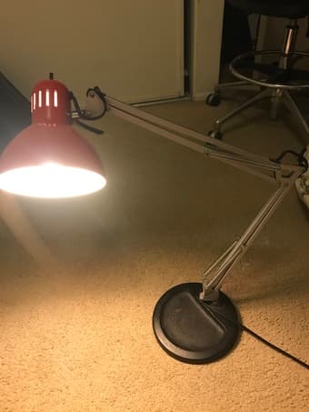 Two desk lamps with bulbs 2