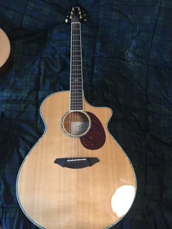 Breedlove acoustic guitar 1