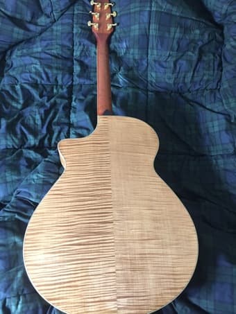 Breedlove acoustic guitar 2
