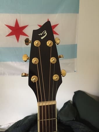 Breedlove acoustic guitar 3