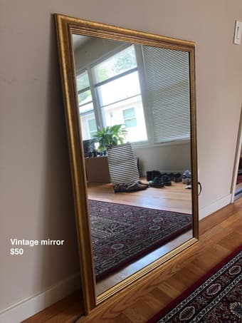Decor (planter, vintage mirror, rug) 2