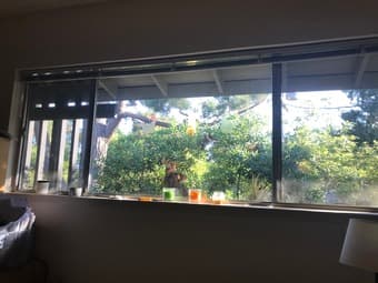 Ready July 4th: Large bdrm in Palo Alto 2B/1B apartment w pool! 1