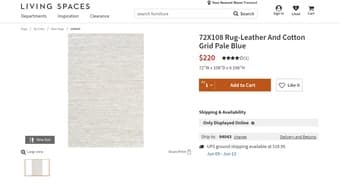 LIVING SPACES rug(Brand new)-moving sale 1