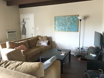 Spacious Room in a 2B1B in Mountain View 1