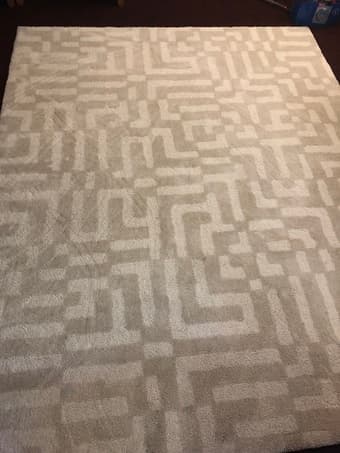 area rug 1