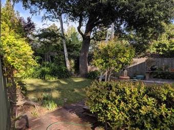Lovely room in Menlo Park, walking distance to Stanford Campus 2