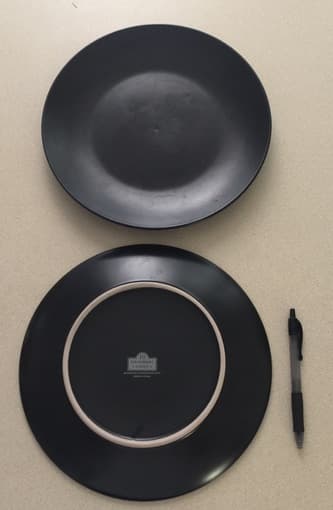 Dinner plates 1
