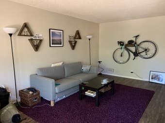 Master bd/private ba in furnished MTV 2b/2ba apt July move-in 2