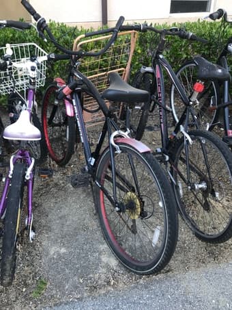 Men's Cruiser Bike asking for $25 1