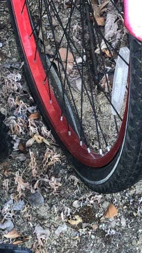 Men's Cruiser Bike asking for $25 2