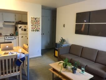 Apt w spacious furnished bedroom/living room on campus July 9 - Aug 23 1