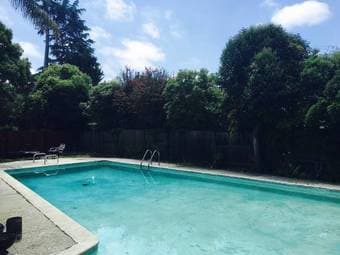 Three rooms available in a Palo Alto house with a pool! 1