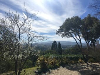 Room in House for Rent (Portola Valley) Easy Commute, Tranquil 1