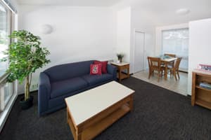 CHARMING FURNISHED SUBLET (8/1, Flexible): Sunny Room in Stanford Flat 1