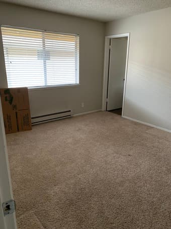 Great Master Bed in beautiful MTV apt near Campus! -available now! 1