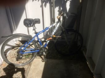 Women's Novara bike + accessories 1