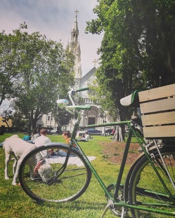 1973 Schwinn Speedster 3