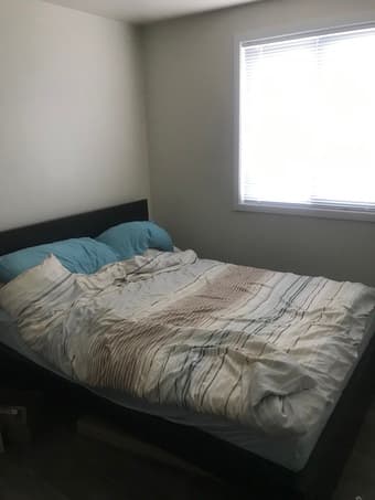 Two Teachers Looking for One or Two New Roommates 1