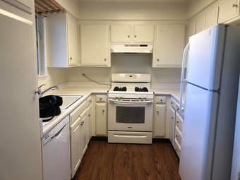 Large Master BR, shared BA in sunny Mountain View near Castro St. 2