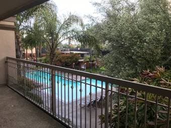 Room with private bath in 2br/2ba August 9 - September 1 2