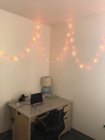 1BR very close to medical school, hospital, research (8/24-9/15) 2