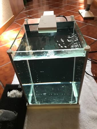 2.5 gallon Fluval Fish Tank + many accessories 2