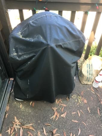 Weber 100Q gas grill 3