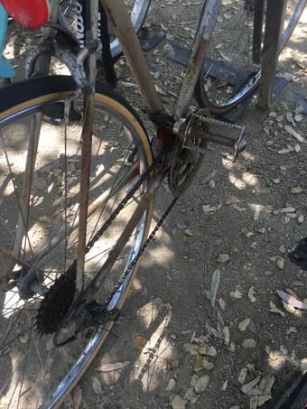 Rusty but Trusty Bike 1