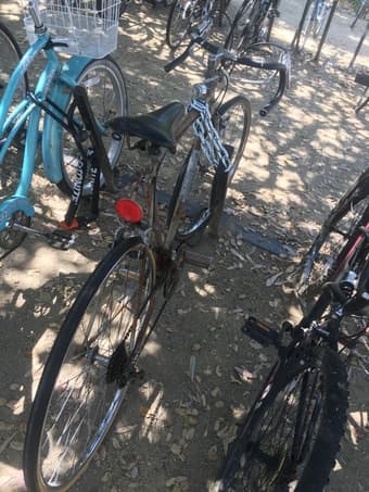 Rusty but Trusty Bike 2