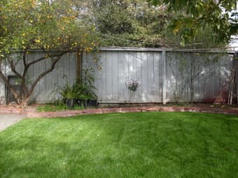 $1290 Furnished big room in Palo Alto house for rent from 08/12/2018 1