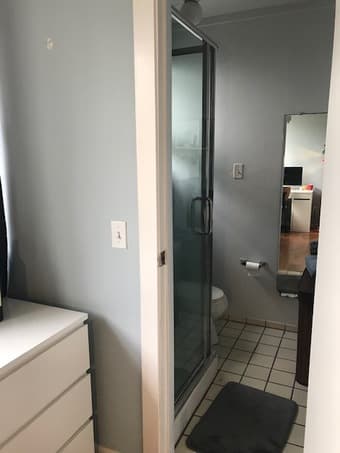 Avail 9/1 newly furn room w/priv bath in lovely large airy house 3