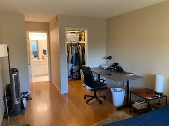 Master suite with private bathroom and huge walk-in closet 2