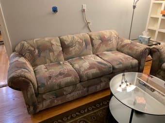 Free sofa 1