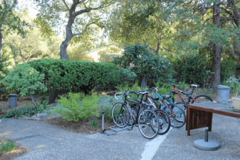 Palo Alto room in secluded area, 15min bike to Stanford; shared bath 1