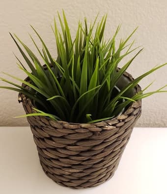 Apartment Cleanout Sale 3