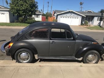 1975 VW Bug 2