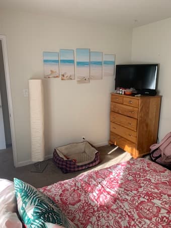 Bedroom with Private Bath in Mountain View 3