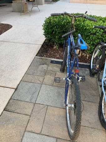 Mongose Bycicle 1