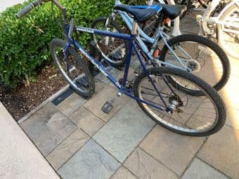 Mongose Bycicle 2