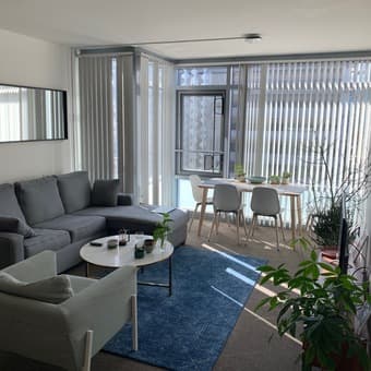 3 mo (Dec-Feb), 1BR sublet - UCSF Mission Bay Housing 3