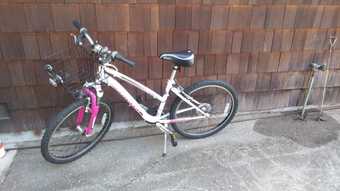 Bike for sale - Schwinn Ranger 1