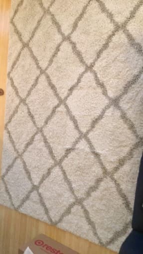 Beautiful new 6' by 9' ivory carpet for sale 2