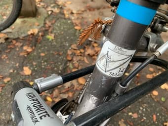 Raleigh 3.0 venture 14’ bike 2