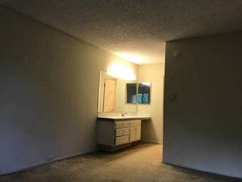 Large bedroom and private bath in 2bd/2ba apartment 3