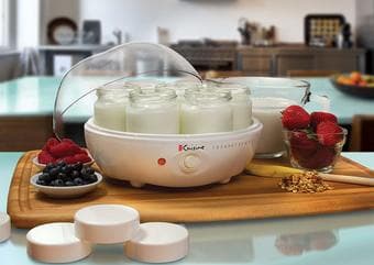Yogurt Maker! 1