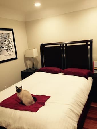 Houseshare w/ Private Room & Bathroom in 4 Bed / 2.5 Bath House 2