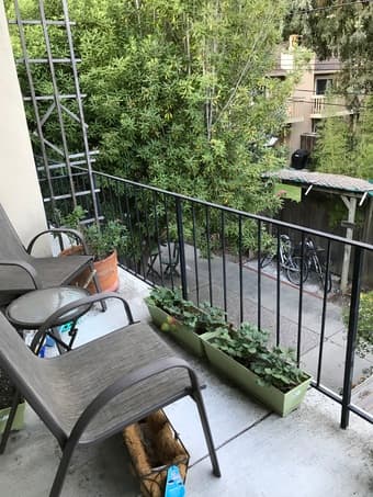Large room in renovated 2b/1ba apartment in Mountain View 3